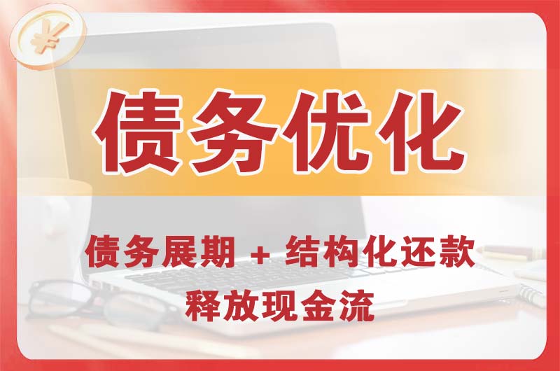 新泰债务优化
