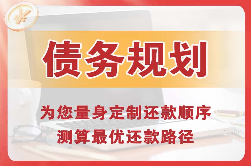新泰债务规划